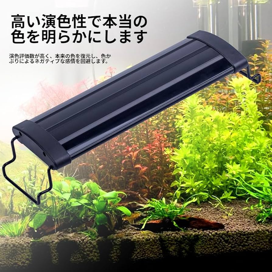 引退セット！アクアリウム　水草水槽　co2ジェネレータ　フィルター　LEDライト Amazon | 【在庫限り/メーカー終売】ジェックス メダカ元気